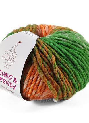 Пряжа young trendy/янг тренди, оранжевый-зеленый-молочный 4, laines du nord