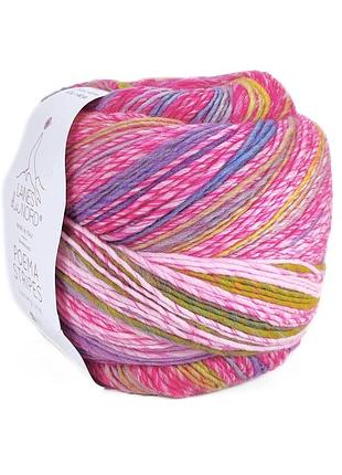 Пряжа stripes/поэма стрипс, мультиколор-полоска 5, laines du nord
