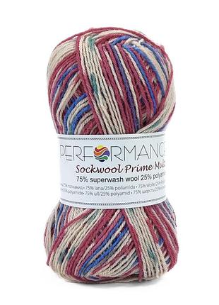 Пряжа sockwool prime multi/соквул прайм мульти, мультиколор 19, performance