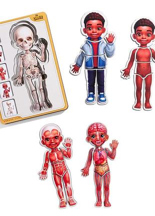 Дерев'яний пазл-вкладиш "анатомія людини - хлопчик-3" будова тіла