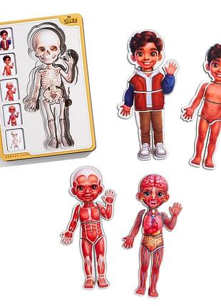 Дерев'яний пазл-вкладиш "анатомія людини - хлопчик-2" будова тіла