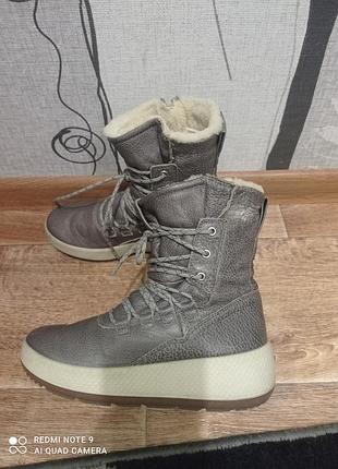 Зиминие ботинки сапоги ecco р 36