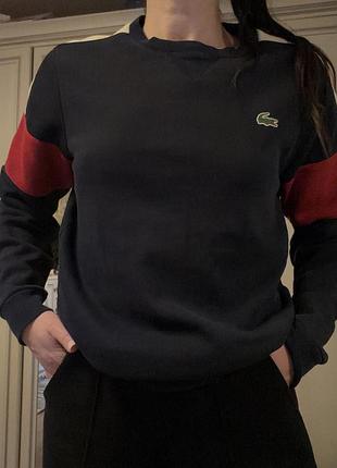 Худі lacoste