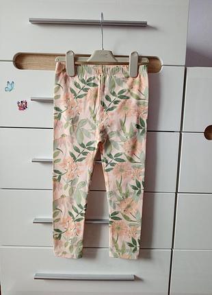 Лосинки на 6 лет из хлопка