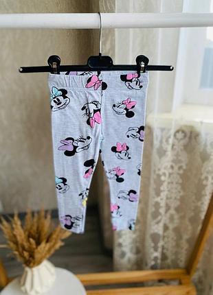 Лосіни з мінні