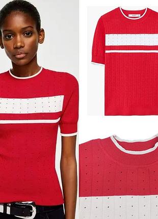 Топ mango красный с белым в дирочку