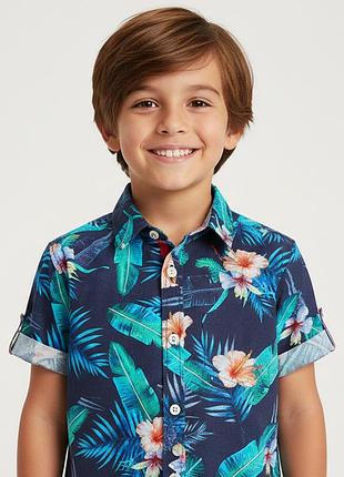 Гавайка, тенниска, рубашка, рубашка ted baker, 6 7 лет