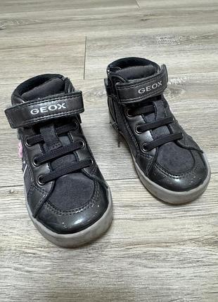 Черевики geox 21 розмір