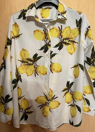 Рубашка женская, papaya, р.46
