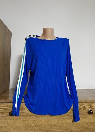 Лонгослив красивый