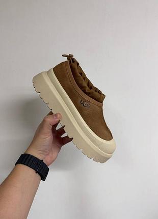 Черевики ugg tasman hybrid chestnut beige