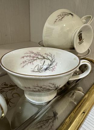 Кавова  попцелянові чашки "schumann arzberg bavaria" '.