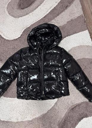 Курика глянцева