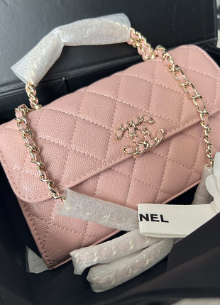 Модна жіноча сумка mini bag powder