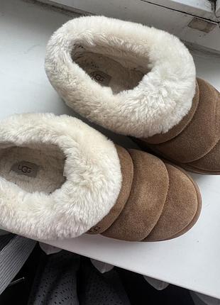 Ugg оригінал
