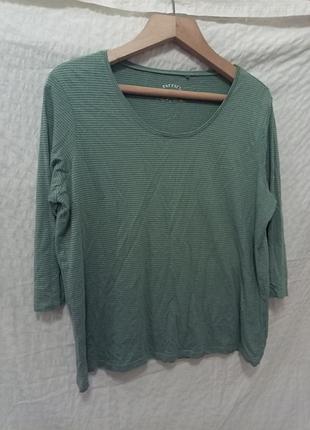 Комфортний трикотажний лонгслів fat face з піма бавовною