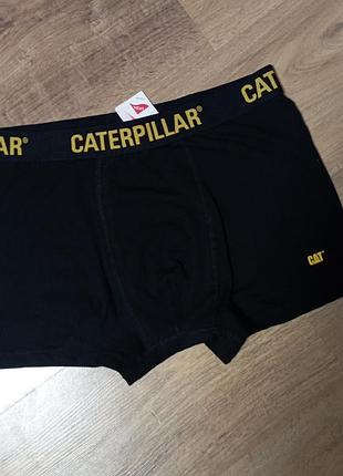 Мужские боксеры cat