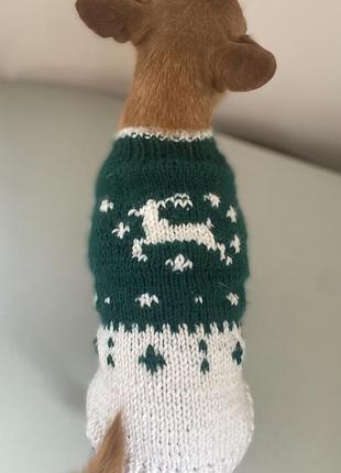 Одяг для тварин святковий светр