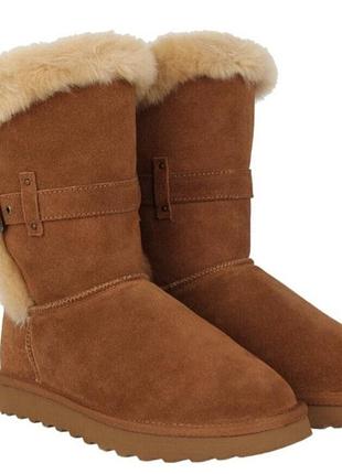 Ugg mini оригінал чоботи черевики чоботіки чоботи чоботи ugg p.36