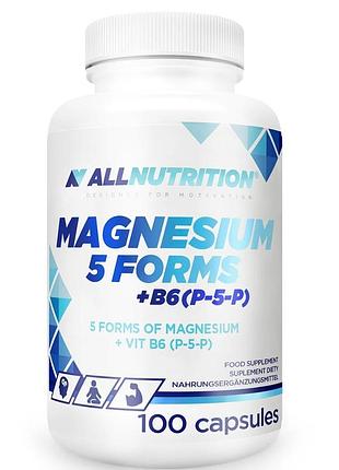 Магній у 5 формах + вітамін b6, 100 капсул