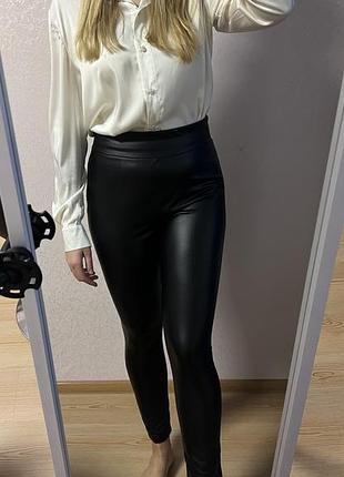 Шкіряніло сини жіночі