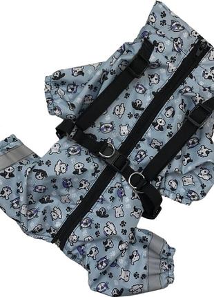 Одяг для собак дощовик із шлеей собачки блакитні унісекс1 фото