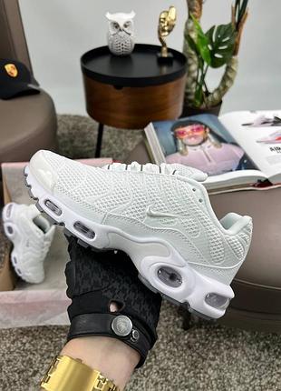 Nike air max plus white silver