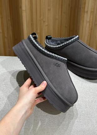 Черевики ugg tazz ii grey
