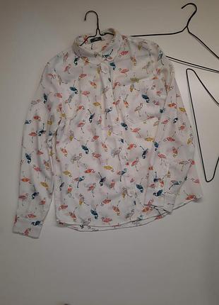 Eur 40 стильная блуза рубашка принт фламинго No1310