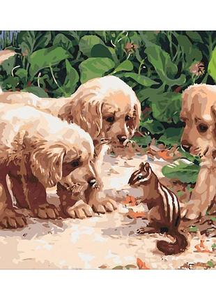 Картина по номерам щенки и бурундучок тм идейка 40 х 50 см кно4055