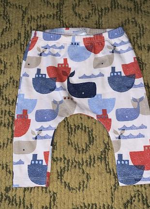 Штаны 🐳 next 3 мес