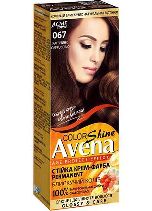 Стійка крем-фарба для волосся avena color shine 067 капучино 138 мл (4823115502537)