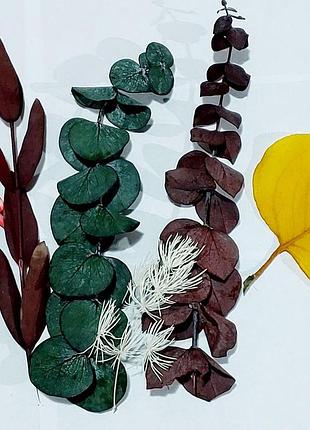 Сухоцвет для творчества для декора свечей мыла косметики эпоксидной смолы набор № 8