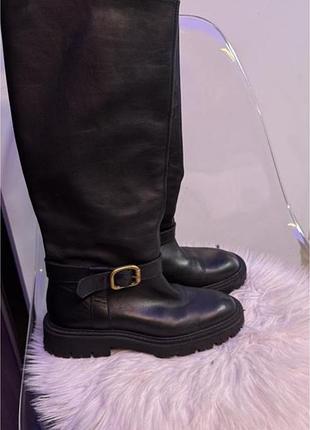 Чоботи труби zara