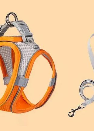 Нейлонова регульована шлейка анатомічна для котів, цуценят та собак зі світловідбиваючою + повідець помаранчевий