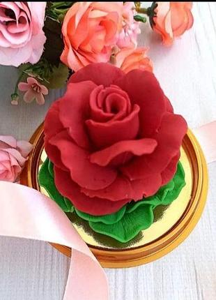 Троянда наомі