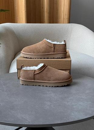 Черевики ugg classic micro boot beige