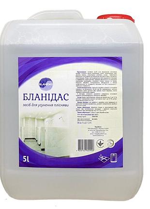 Бланидас – средство для устранения плесени, 1л