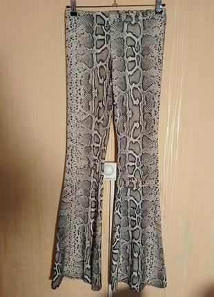 Блискучі штани рептилії