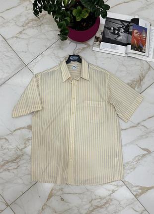 Чоловіча базова кремова сорочка з коротким рукавом у синю смужку