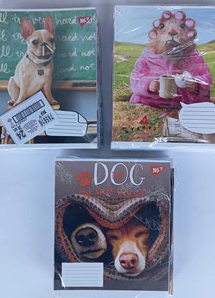 Тетрадь 24 лист yes, 1вересня клетка