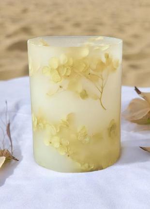 Бежевий шарм гортензії - 35 годин горіння, з ароматом апельсин в шоколаді