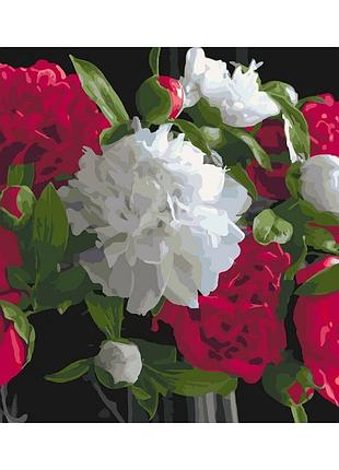 Картина по номерам роскошные пионы тм идейка 40 х 50 см кно3051