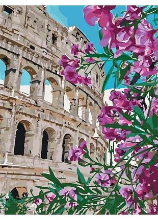 Картина по номерам колизей идейка 40 х 40 кно3522