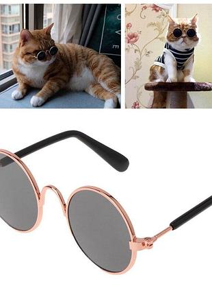 Солнцезащитные круглые очки let’s pet m для кошек