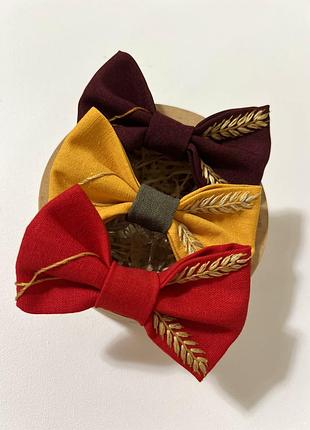 Галстук-бабочки мальчику идея подарок