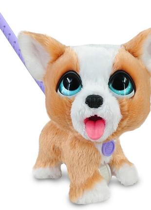 Інтерактивна плюшева собачка корги на поводке furreal poop-a-lots corgi, що ходить,  цуценя, що какає, з повідком, 14 предметів