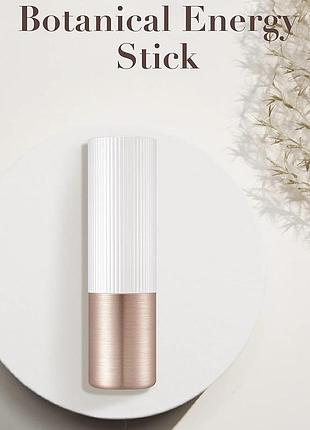 Стик для шкіри навколо очей з гірським женьшенем the saga of soo botanical energy multi stick eye 3 g