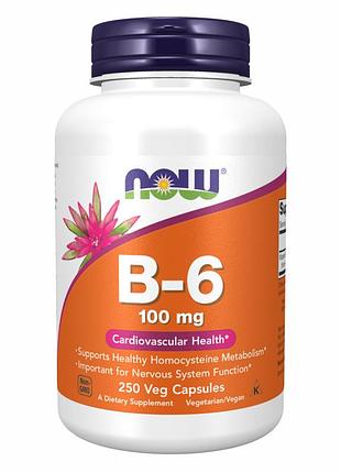 Now foods, вітамін в6, 100 мг, 250 вегетаріанських капсул