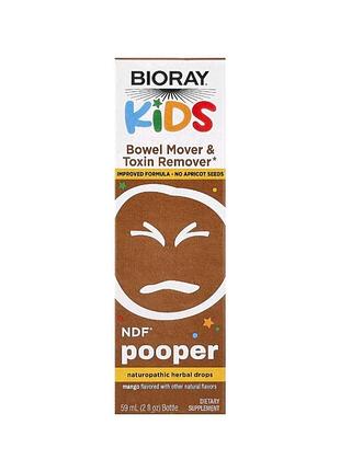 Добавка для активации работы кишечника bioray, kids, ndf pooper, манго, 59 мл
